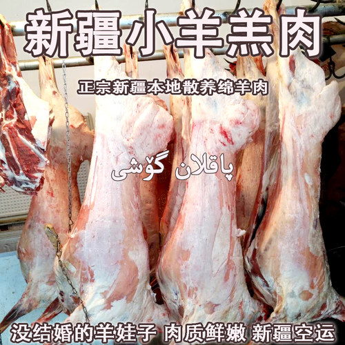 羔羊南疆盐碱地绵羊肉新疆直发