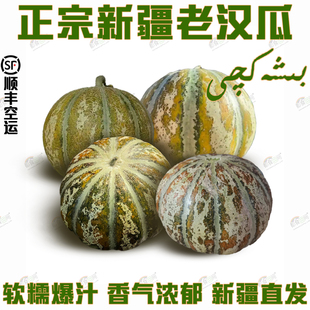 正宗新疆老汉瓜绵软糯多汁入口即化浓香南疆特产甘甜如蜜产地直发