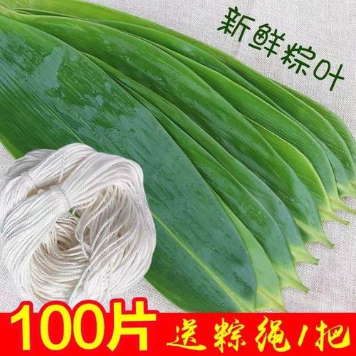 粽子叶新鲜野生大粽粽叶