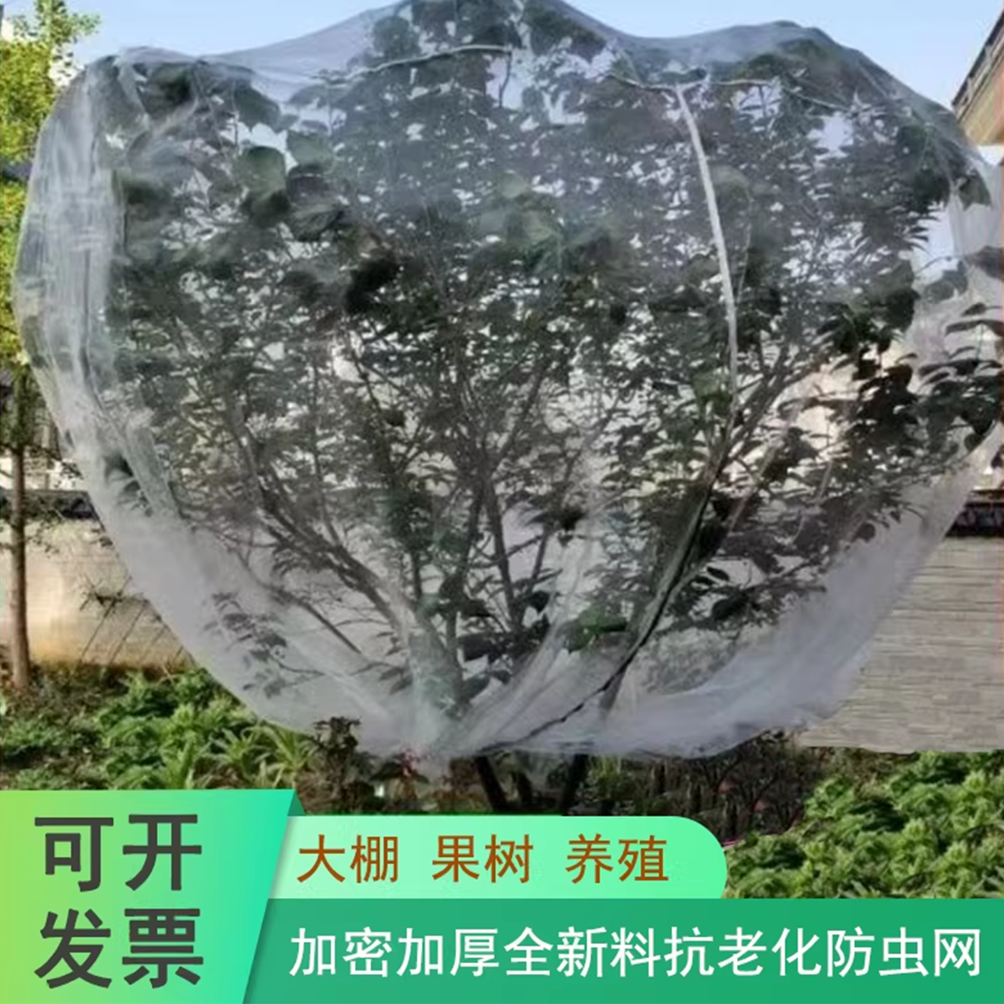 立体型防虫网罩加厚樱桃杨梅蓝莓莲雾等果树蔬菜大棚绿植防鸟网罩