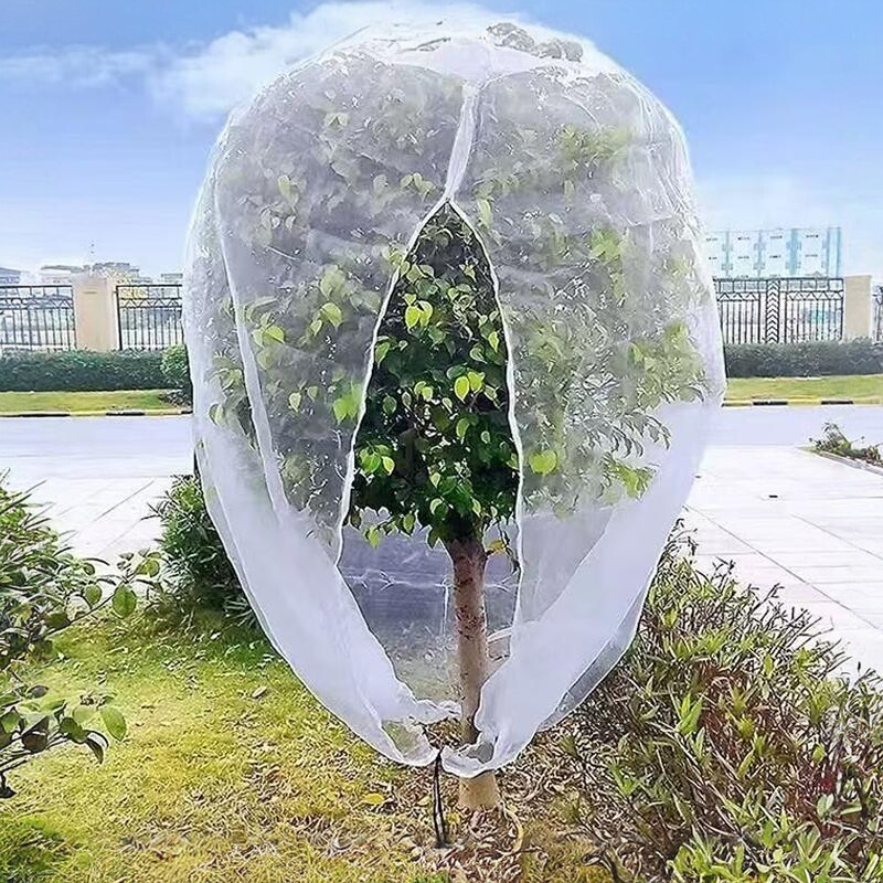 口袋型果树防虫网罩防鸟防虫