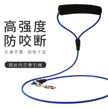 防咬断狗狗牵引绳大狗单绳法斗柯基哈士奇遛狗链子铁链幼犬牵狗带
