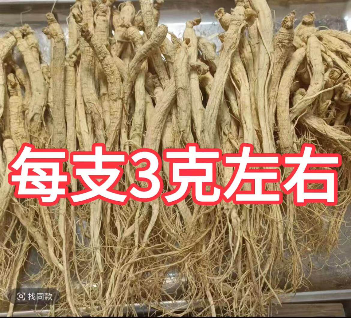 100根人参干人参白参生晒参煲汤材料泡水泡酒滋补整斤批发每根3克