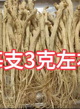 100根人参干人参白参生晒参煲汤材料泡水泡酒滋补整斤批发每根3克