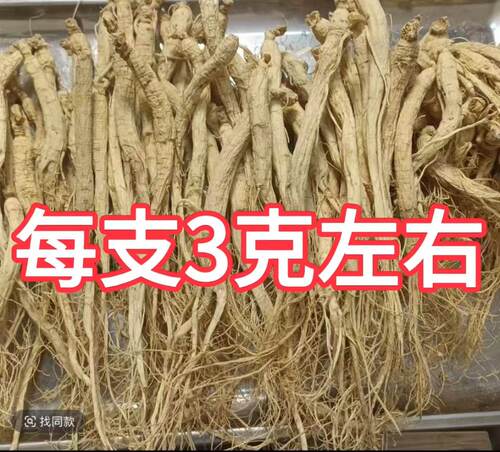 100根人参干人参白参生晒参煲汤材料泡水泡酒滋补整斤批发每根3克