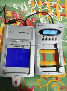 invitrogen 电子凝胶动力系统 议价