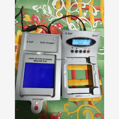 invitrogen电子凝胶动力