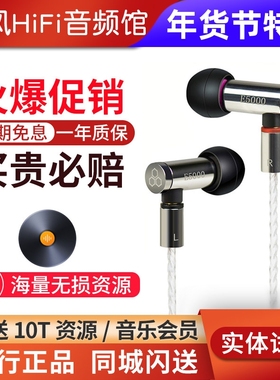 Final E4000 E5000微动圈耳机配mmcx京线小巧迷你入耳式耳塞国行