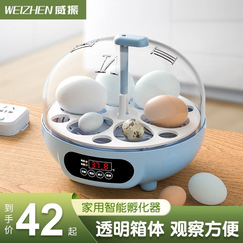 孵蛋器小芦丁鸡水床孵化器小型家用型孵化机迷你全自动智能孵化箱