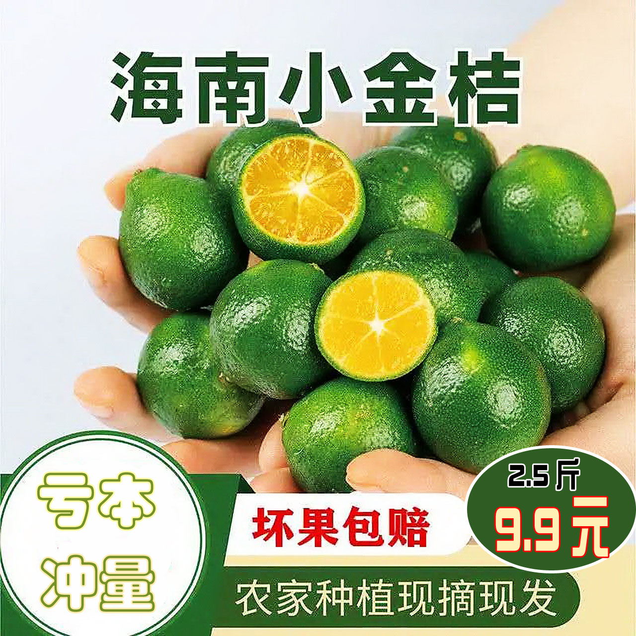 小青桔海南青金桔新鲜金橘青金桔子水果青柠包邮奶茶榨汁专用2.5|msdalam kategori daging perikanan/Buah-buahan segar dan sayur-sayuran/dimasak, buah-buahan segar, Oranges - dari Buy2taobao.com untuk memberikan perkhidmatan ejen Taobao profesional membeli