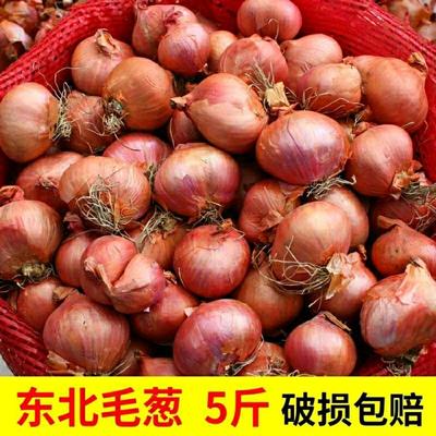 毛葱东北特产农家自种新鲜蔬菜