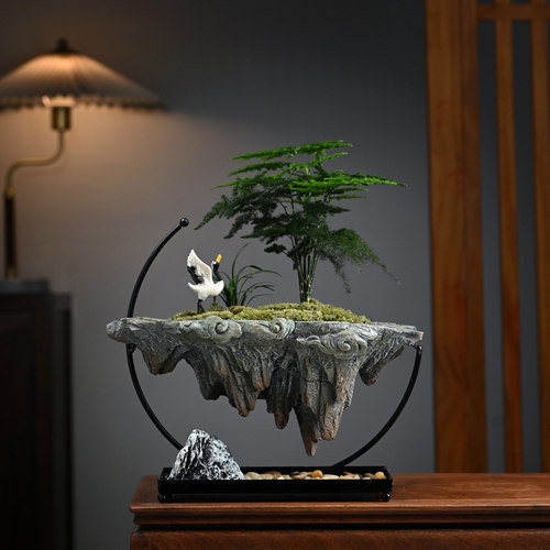 文竹、米竹悬空倒置盆景