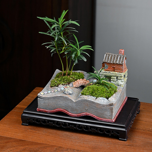 罗汉松盆栽桌面盆景室内常青花卉造型苗老桩庭院绿小迷你微型植物
