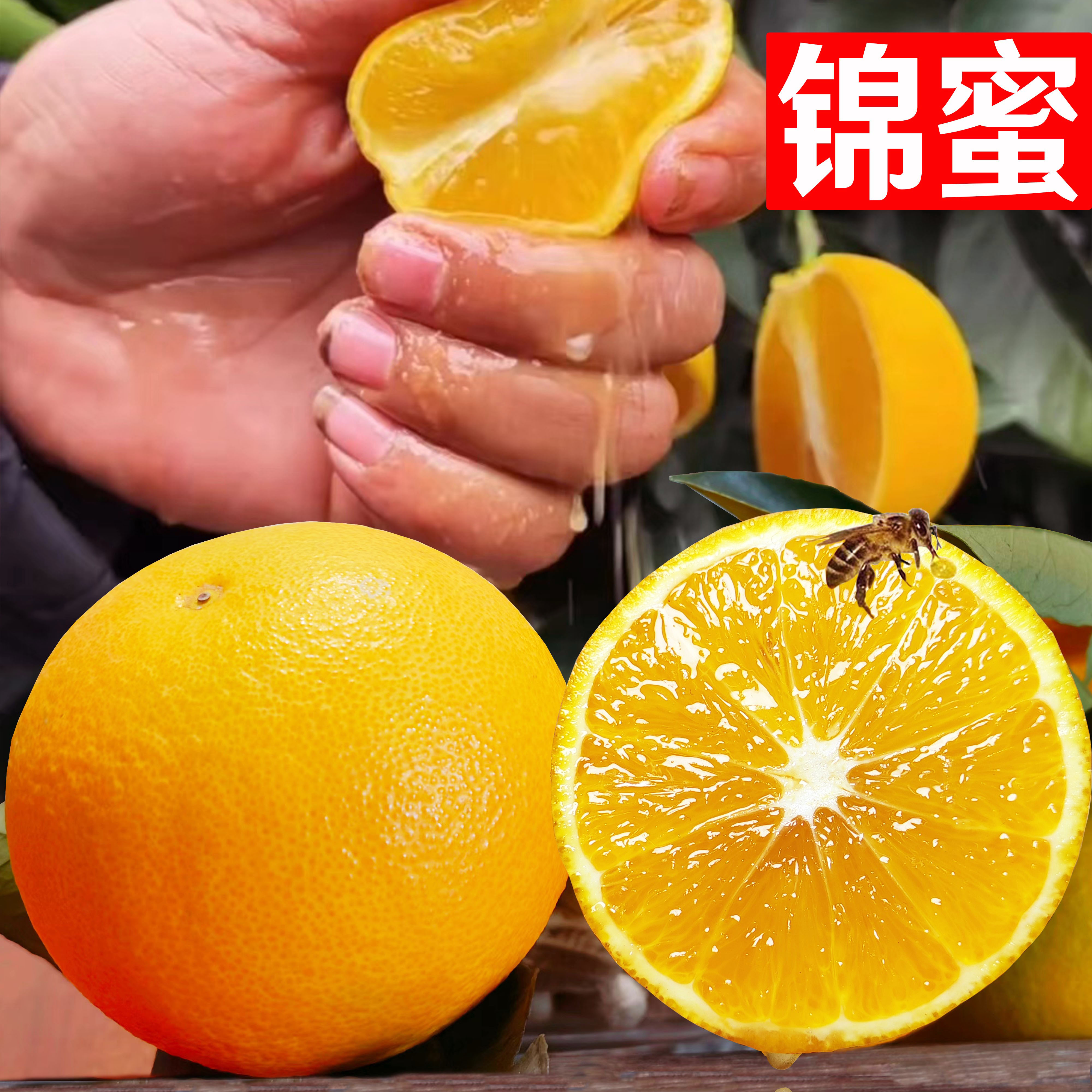 锦蜜冰糖橙麻阳超甜现摘新鲜水果湖南褚甜橙柑橘子果冻橙子5/10斤