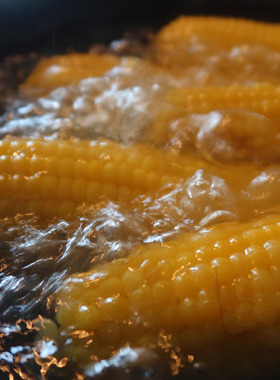 东北玉米 “小粒黄” 谢谢你长得这么好吃 让我觉着生活真美好 !