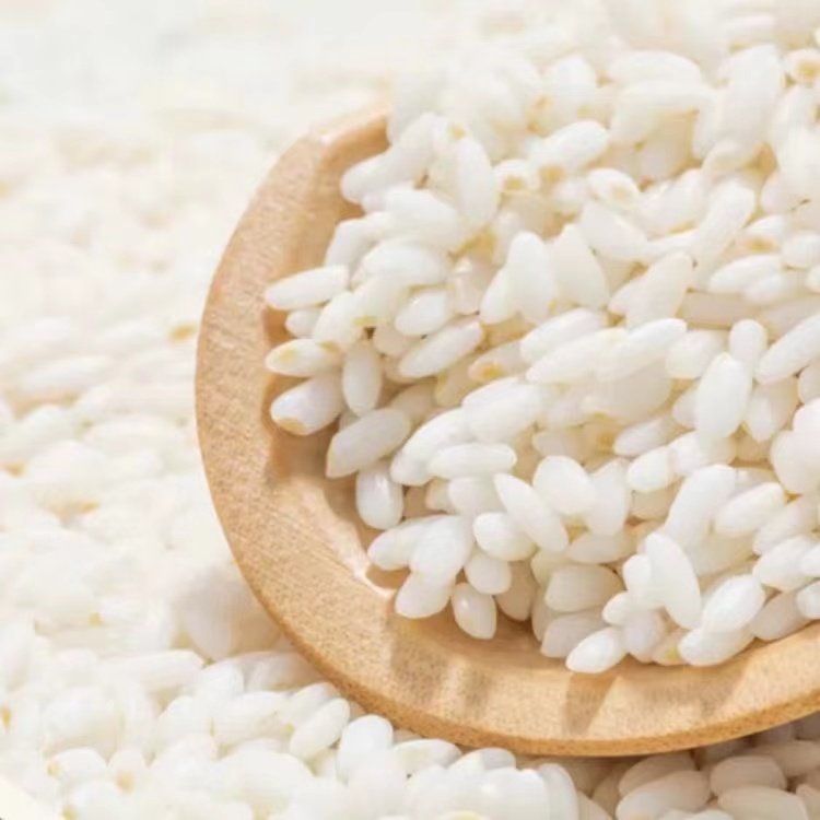 5kg/�� ����ɳ�� ��֬���� �½����� ����Ũ�� 198Ԫ