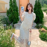 新款183-6699P165K238钩花蕾丝镂空半身裙套装，商品下架区，浙宝183