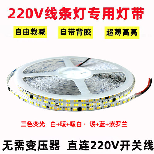 LED灯带三色变光220V免驱超亮