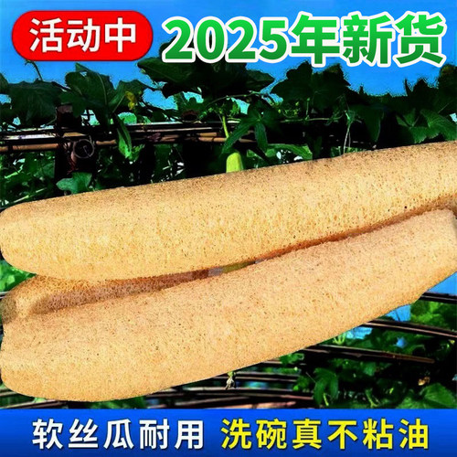 天然洗碗神器丝瓜络丝瓜瓤不沾油