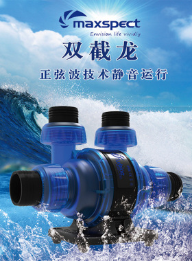 迈光双截龙静音水泵TD-6K9K12K双向上水泵过滤泵潜水泵淡海水通用