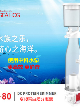 SEA DC80变频锥形蛋分 海缸蛋白质分离器 小型海水珊瑚静音过滤器