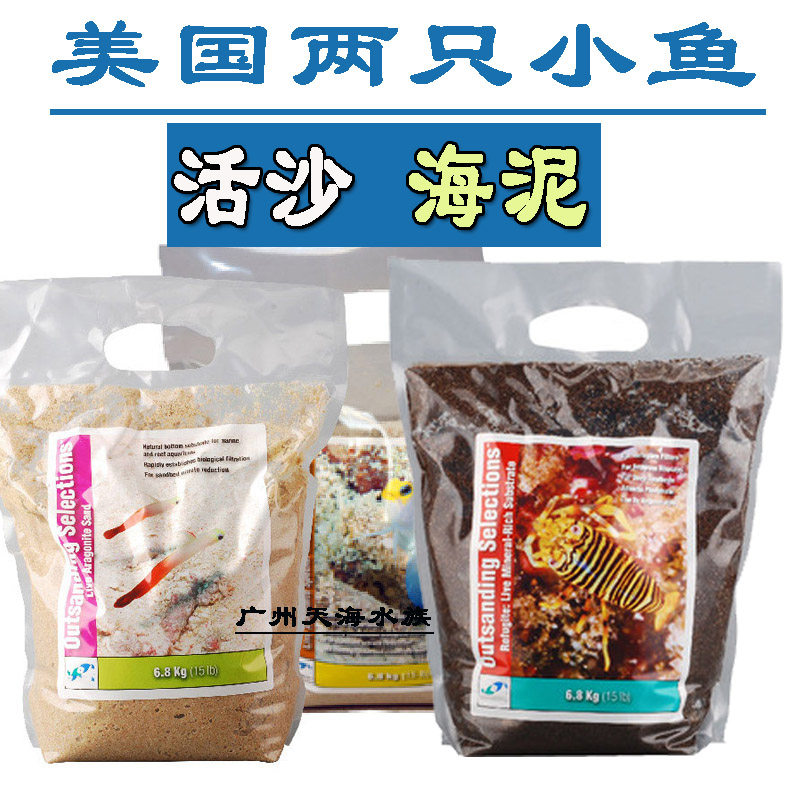 美国两只小鱼活沙粗细天然活沙海水缸底沙造景沙魔术海泥藻缸热带