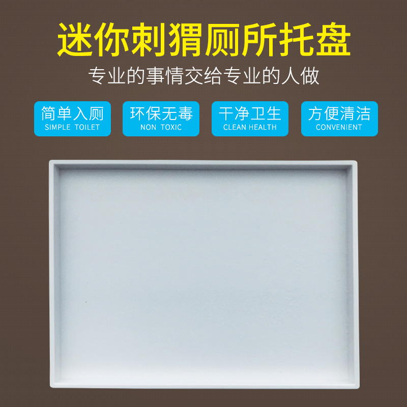 爬虫食盆小宠物迷你厕所托盘