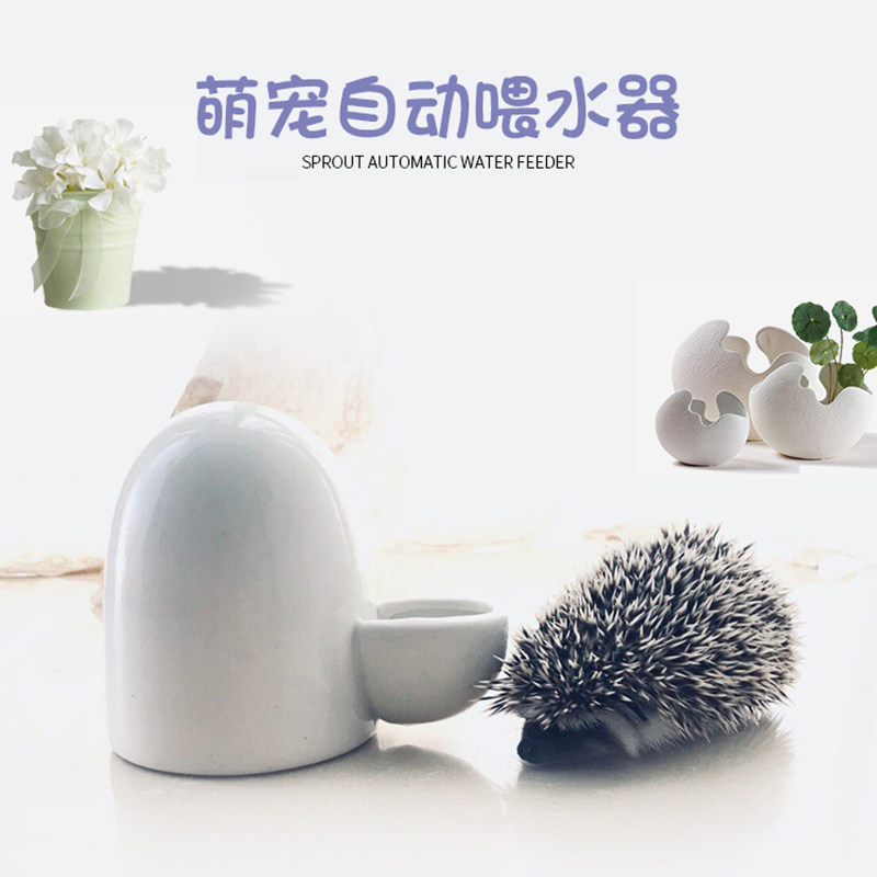 陶瓷小宠物自动饮水器 仓鼠静音饮水器 喂水器非洲迷你刺猬水壶