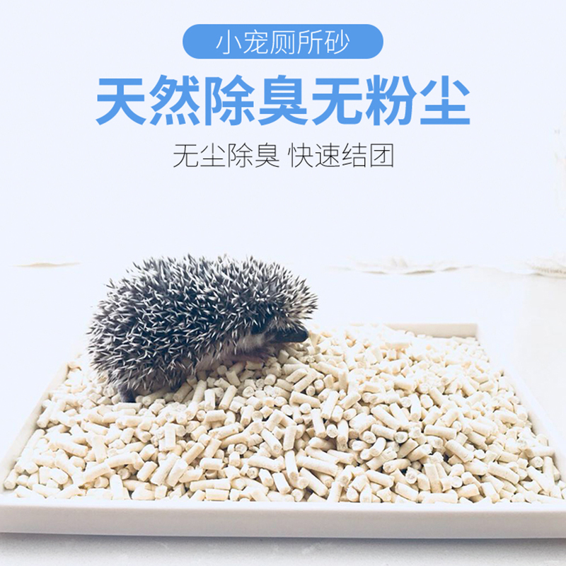 0厕所非洲迷你刺猬mini豆腐专用