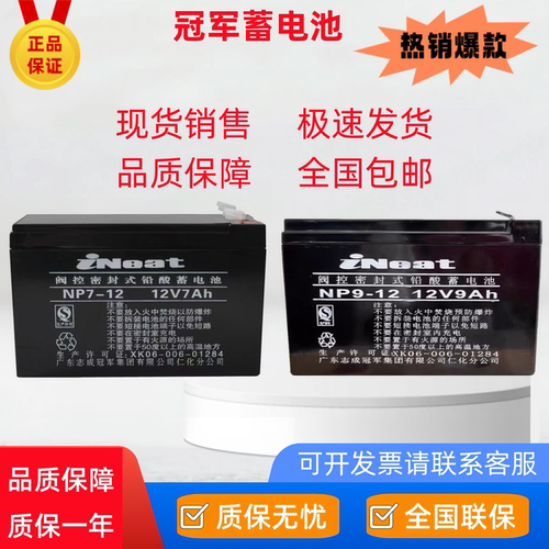冠军阀控密封铅酸蓄电池12V