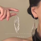 「轻奢公主」独特漂亮耳环2026新款 高级感轻奢宴会礼服耳饰女 爆款