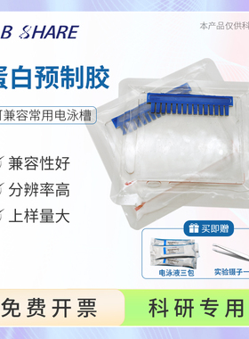 SDS-PAGE电泳蛋白预制胶MOPS体系WB梯度胶兼容伯乐天能六一mini槽