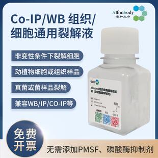 亲和生命 Co-IP/WB 组织/细胞通用裂解液动植物细胞组织细菌真菌