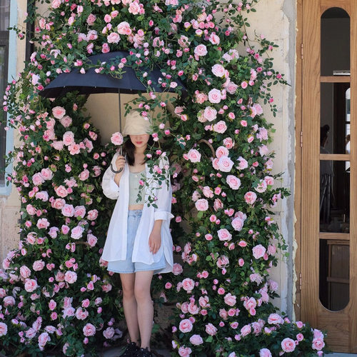 玫瑰假花藤条瀑布打卡网红花墙