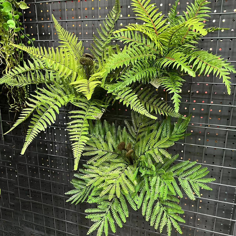 高仿真绿色蕨类植物大叶蕨草热带雨林装饰绿植墙面景观造景配材-封面