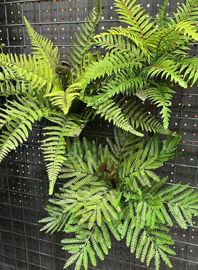 高仿真绿色蕨类植物大叶蕨草热带雨林装饰绿植墙面景观造景配材
