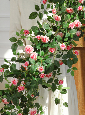 仿真月季爬藤蔷薇花藤龙沙宝石假花管道户外栏杆缠绕装饰墙面造景