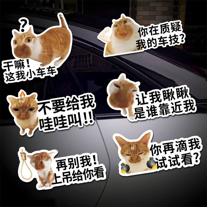 干嘛这我小车车贴纸meme猫咪搞笑表情包个性创意车尾反光装饰防水