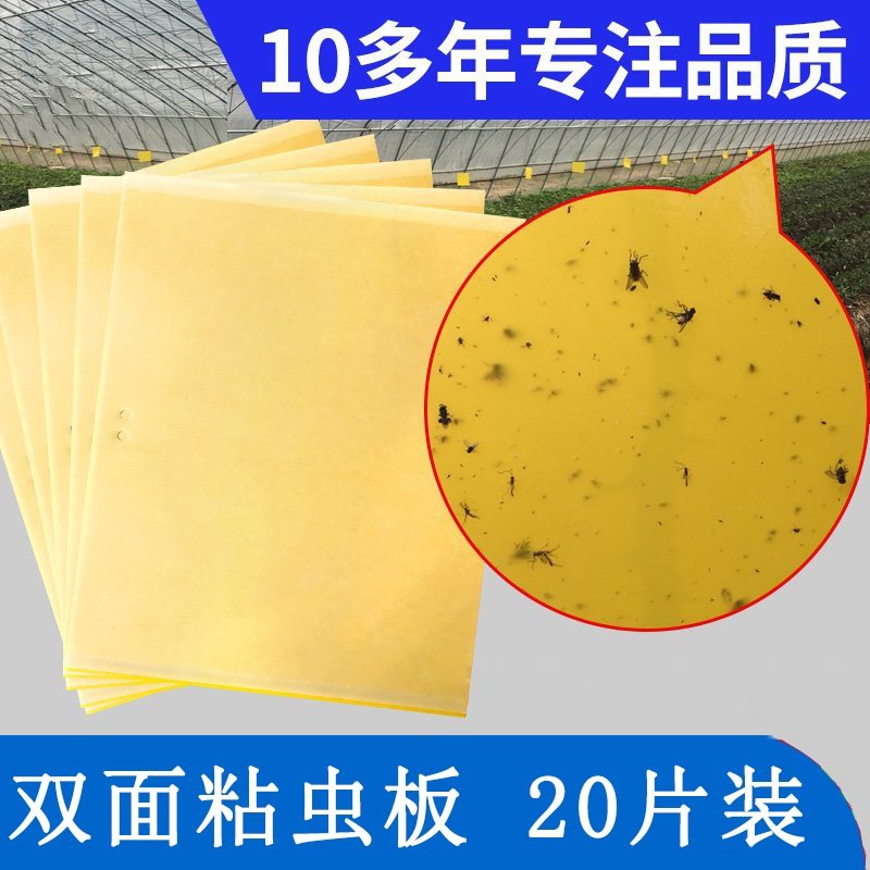 黄色粘虫板果园双面纸贴家用蚊子沾大棚杀黑虫灭小飞虫果蝇诱虫板在类目 鲜花速递/花卉仿真/绿植园艺, 园艺用品, 其它园艺用品中 - 来自Buy2taobao.com提供专业的淘宝代购服务