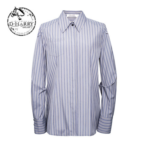 D-HARRY/迪哈利新款通勤纯棉百搭条纹长袖衬衫DH243D97665T - 封面
