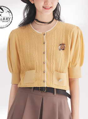 D-HARRY/迪哈利春秋新款简约百搭黄色开衫毛织衫DH241C97056D