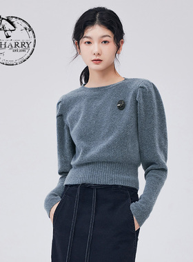 D-HARRY/迪哈利新款复古优雅灰蓝色长袖毛衫DH233C96557D
