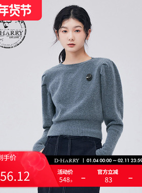 D-HARRY/迪哈利新款复古优雅灰蓝色长袖毛衫DH233C96557D