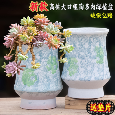 多肉粗陶高盆小蛮腰陶瓷花盆