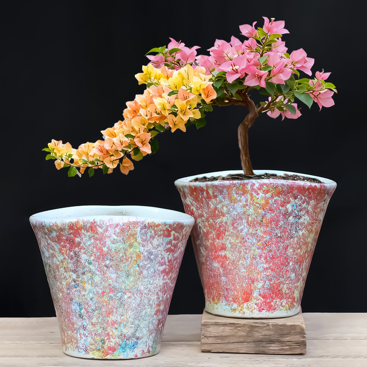 年宵花蝴蝶兰花盆轻奢高级感适合种三角梅兰花粗陶大口径绿植花盆,鲜花速递/花卉仿真/绿植园艺,花盆,淘宝优惠券,粉丝福利购,淘宝优惠卷