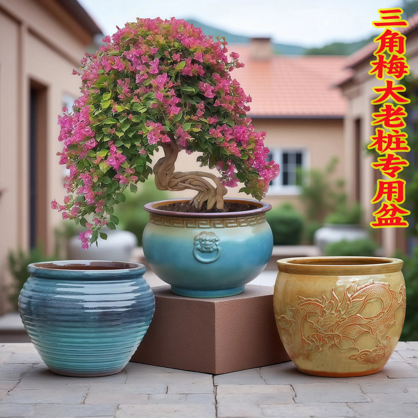 三角梅专用陶瓷花盆圆形大号绿植粗陶多肉花盆种植盆庭院装饰花器,鲜花速递/花卉仿真/绿植园艺,花盆,淘宝优惠券,粉丝福利购,淘宝优惠卷