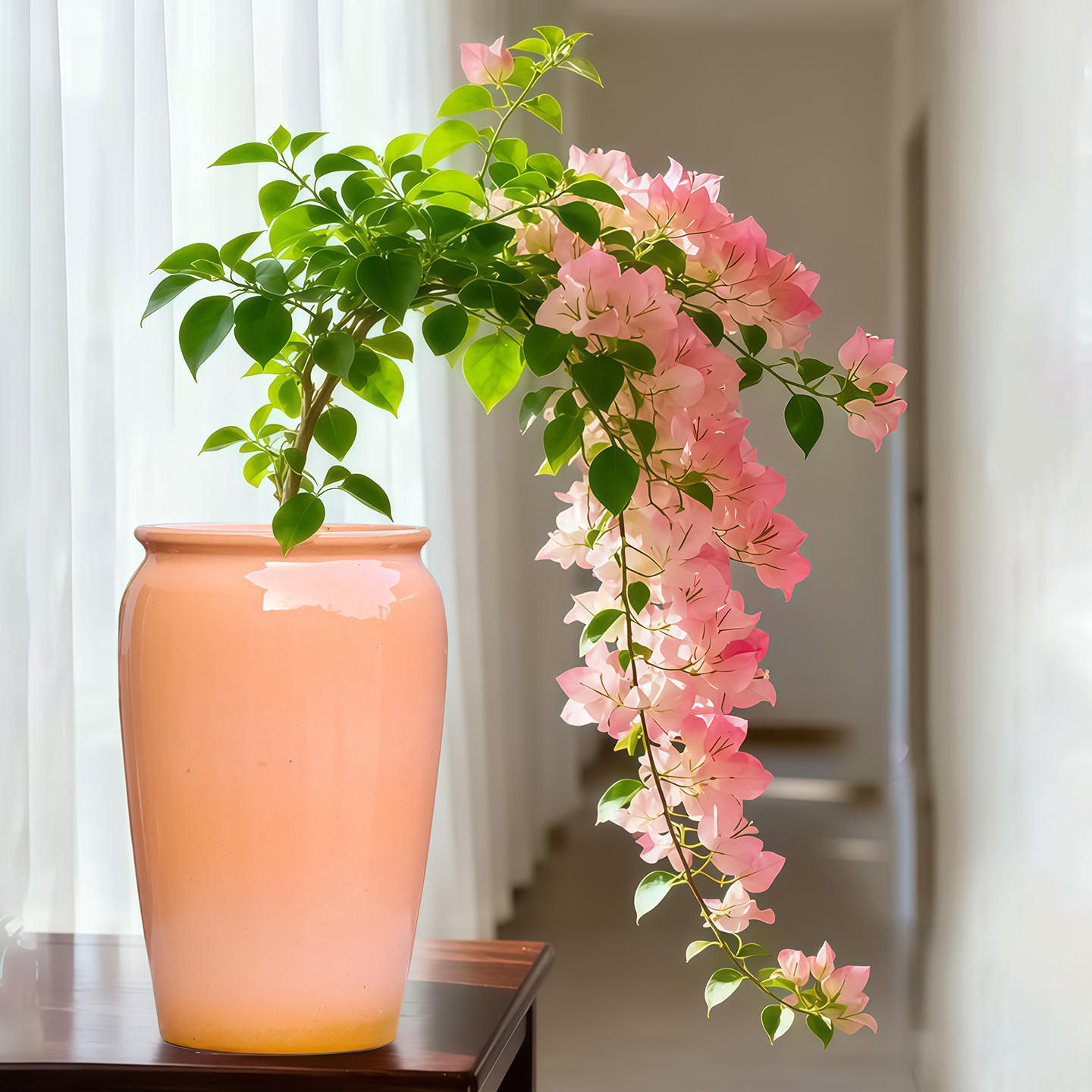 手工三角梅粗陶透气花盆