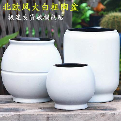 北欧风白色高花盆陶罐老桩陶瓷