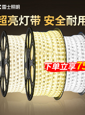 雷士照明灯带led灯条客厅家用氛围灯220v嵌入式吊顶超亮双排贴片