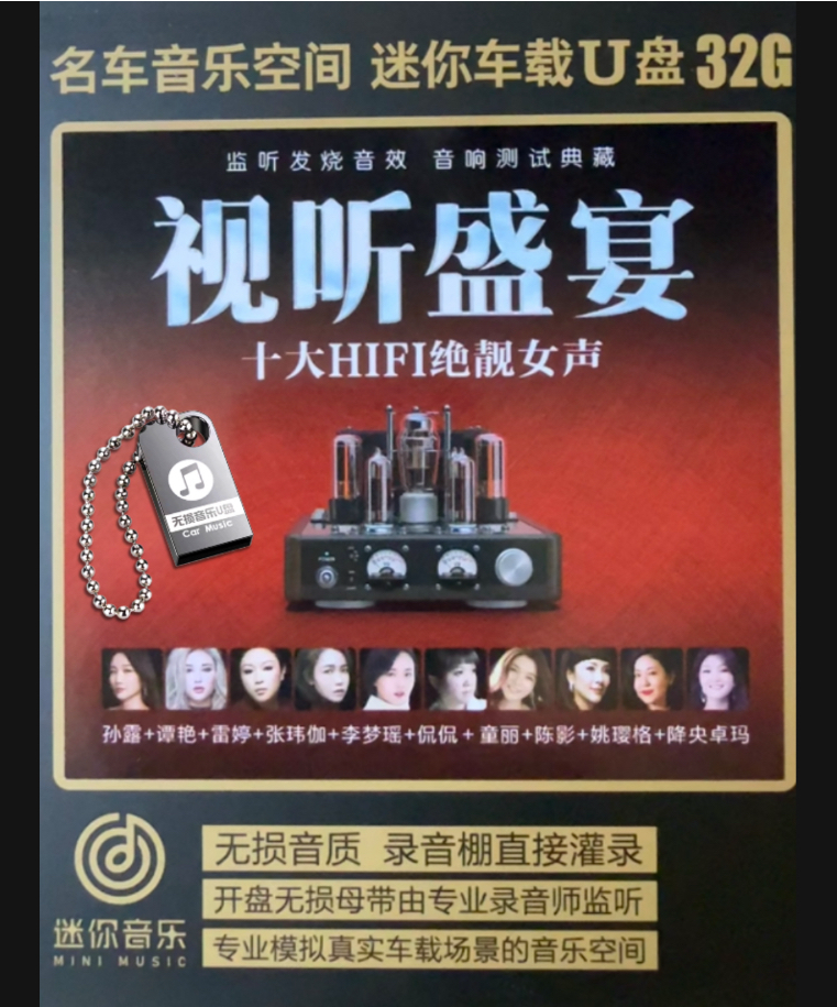 孙露小小的太阳 谭艳光明雷婷与你到永久张玮伽冬天的秘密车载U盘
